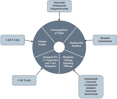 Targeted and cellular therapies in lymphoma: Mechanisms of escape and innovative strategies